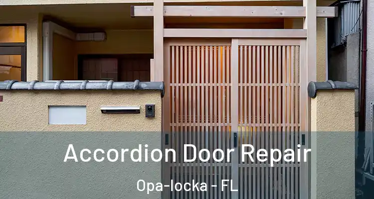 Accordion Door Repair Opa-locka - FL
