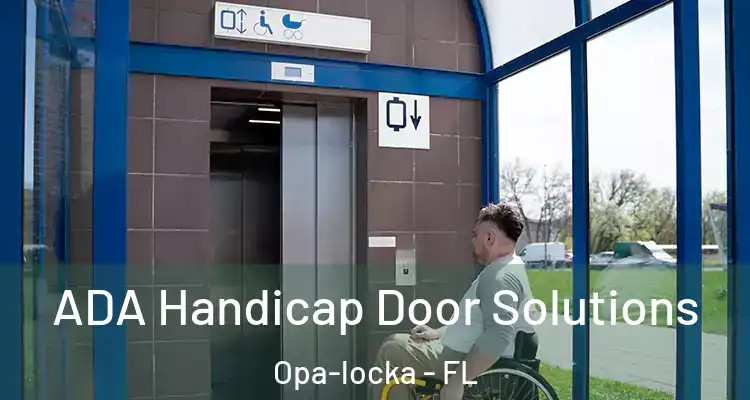 ADA Handicap Door Solutions Opa-locka - FL