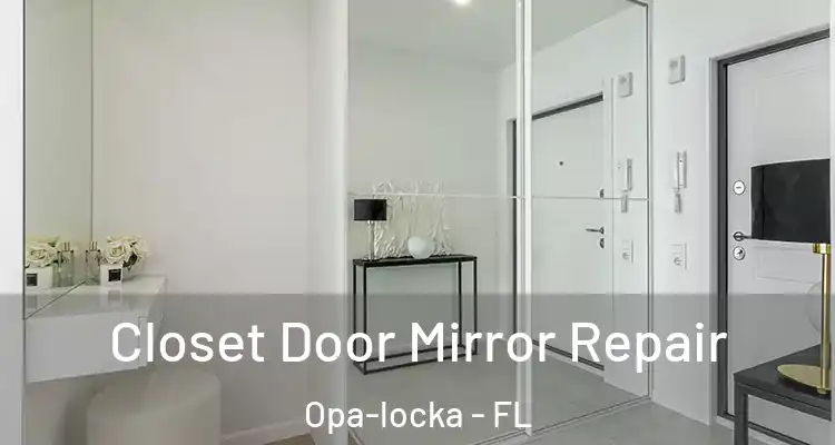 Closet Door Mirror Repair Opa-locka - FL