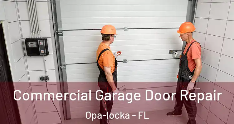 Commercial Garage Door Repair Opa-locka - FL