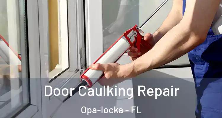 Door Caulking Repair Opa-locka - FL