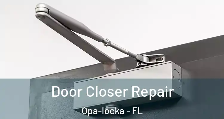 Door Closer Repair Opa-locka - FL