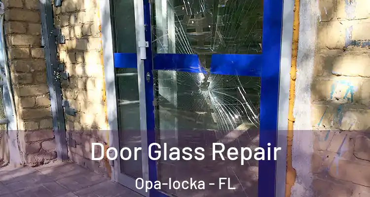 Door Glass Repair Opa-locka - FL