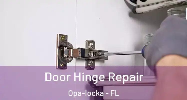 Door Hinge Repair Opa-locka - FL
