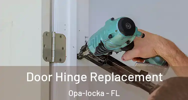 Door Hinge Replacement Opa-locka - FL