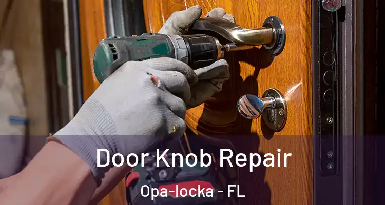 Door Knob Repair Opa-locka - FL