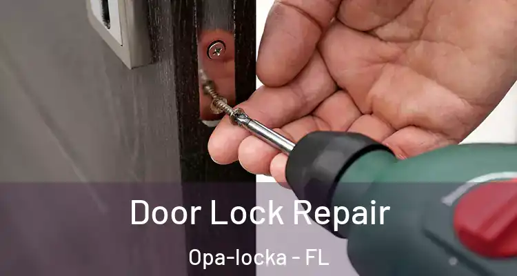 Door Lock Repair Opa-locka - FL