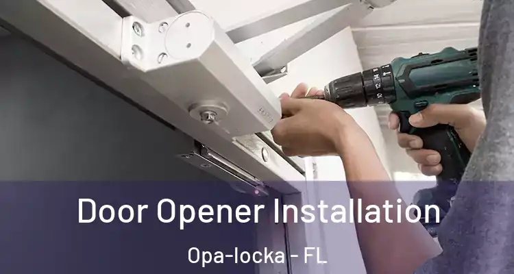 Door Opener Installation Opa-locka - FL
