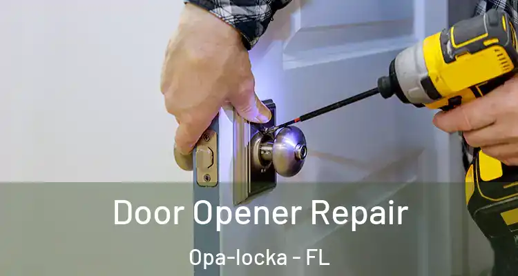 Door Opener Repair Opa-locka - FL