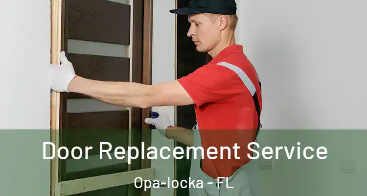 Door Replacement Service Opa-locka - FL