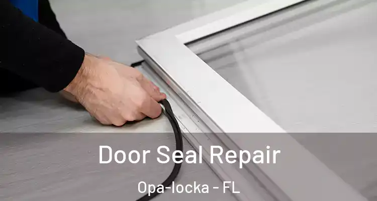 Door Seal Repair Opa-locka - FL