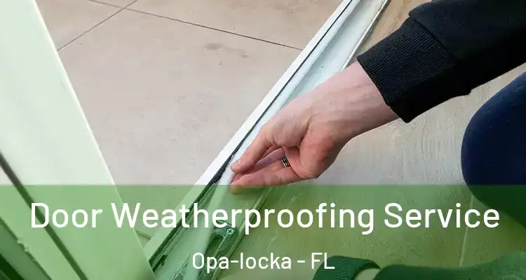 Door Weatherproofing Service Opa-locka - FL