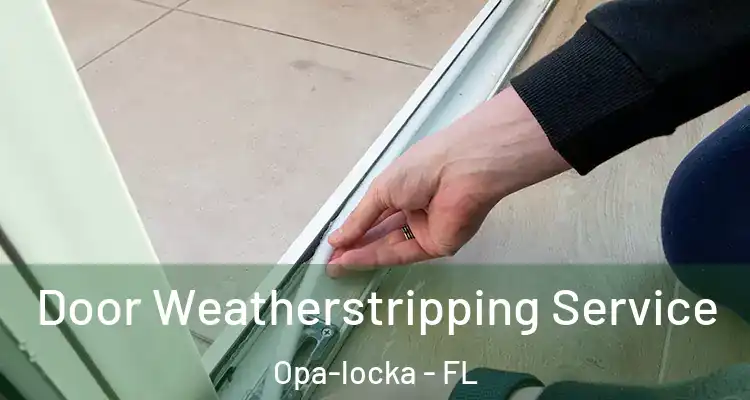 Door Weatherstripping Service Opa-locka - FL
