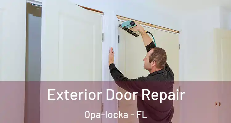 Exterior Door Repair Opa-locka - FL