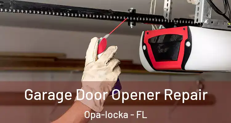 Garage Door Opener Repair Opa-locka - FL