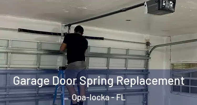 Garage Door Spring Replacement Opa-locka - FL