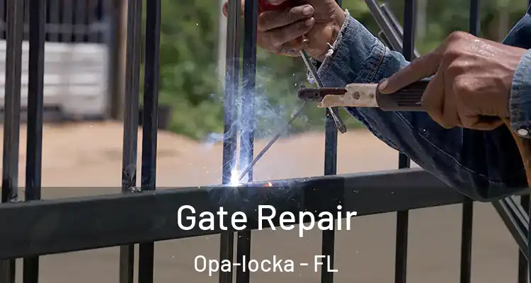 Gate Repair Opa-locka - FL