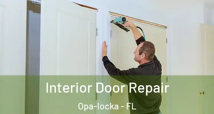 Interior Door Repair Opa-locka - FL