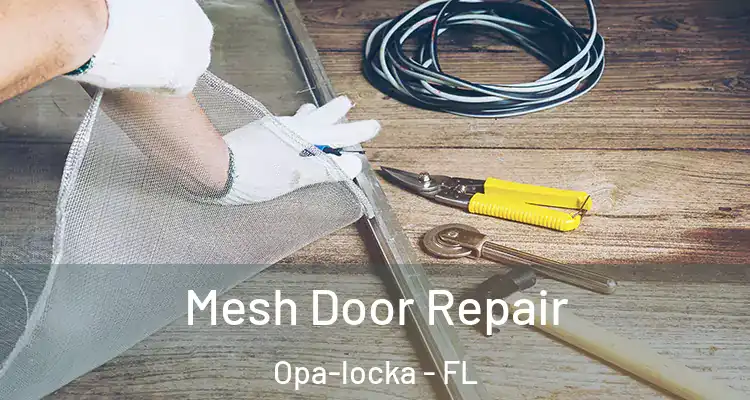 Mesh Door Repair Opa-locka - FL