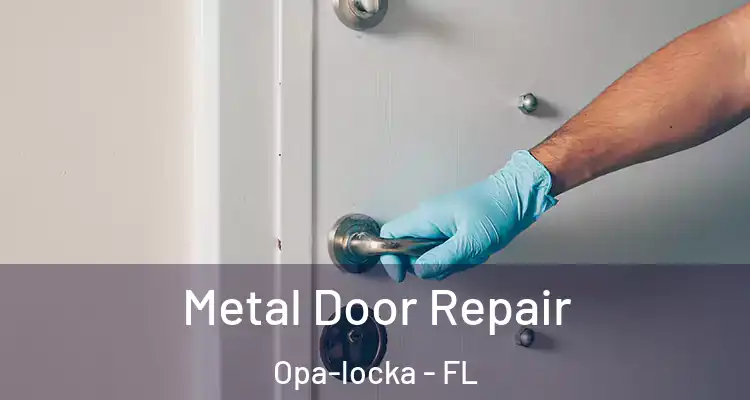 Metal Door Repair Opa-locka - FL