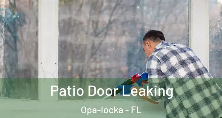 Patio Door Leaking Opa-locka - FL