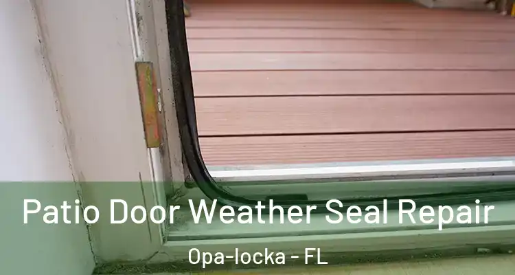 Patio Door Weather Seal Repair Opa-locka - FL