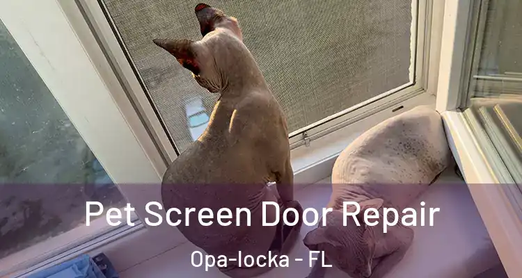 Pet Screen Door Repair Opa-locka - FL