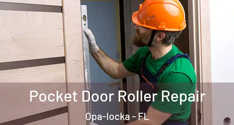 Pocket Door Roller Repair Opa-locka - FL