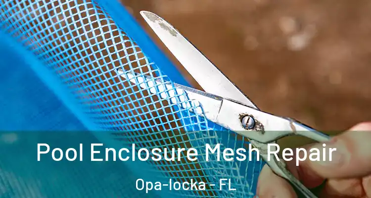 Pool Enclosure Mesh Repair Opa-locka - FL