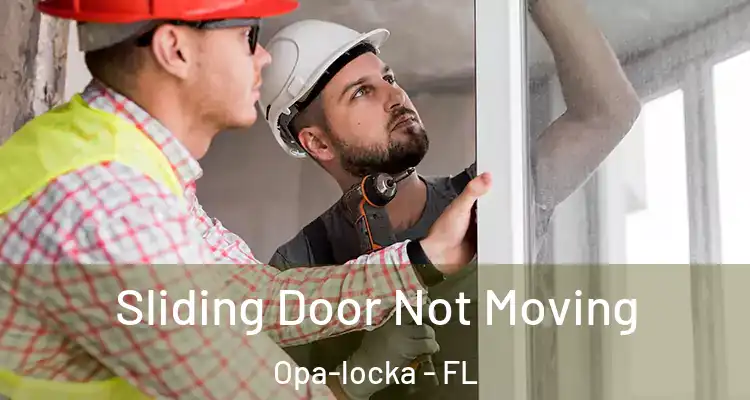 Sliding Door Not Moving Opa-locka - FL