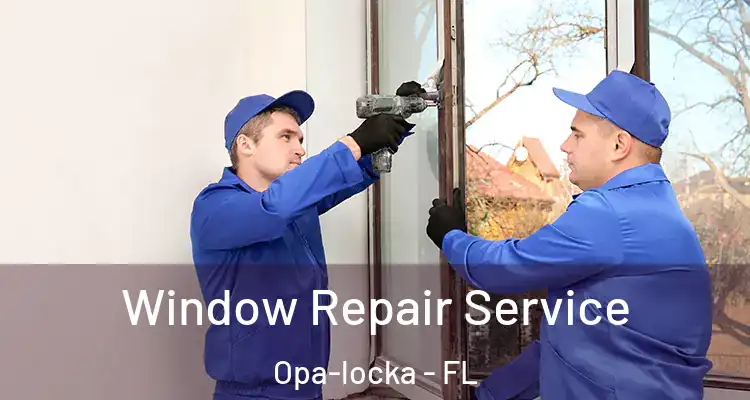 Window Repair Service Opa-locka - FL