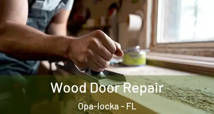 Wood Door Repair Opa-locka - FL